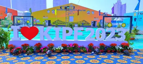 Solutions Events Fabrication: kipf letters day
